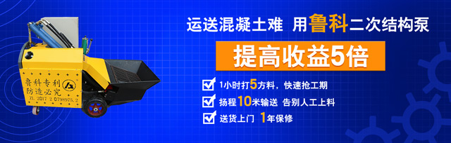 二次構(gòu)造柱專用泵